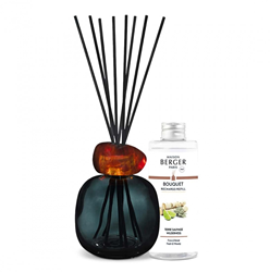 Lampe Berger Geurstokjes Mineral 100ml Zwart /Amber  - Terre Sauvage