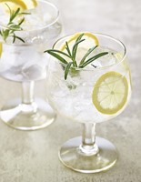 Durobor Gusto Gin Tonice Glazen set 8 stuks-2