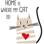 Home cat