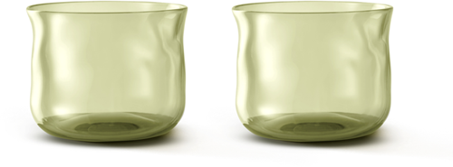 Paveau Swirl Small Tumbler Glazen Moss set van 2