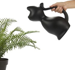 BALVI Gieter Meow Black Cat
