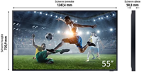 Samsung QE55LST7TGUXXN-2